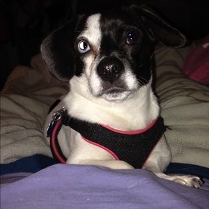 Meet your Posher, Karla